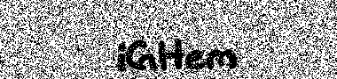no image verification